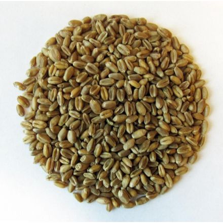 Hvete, helkorn, 25 kg, økologisk