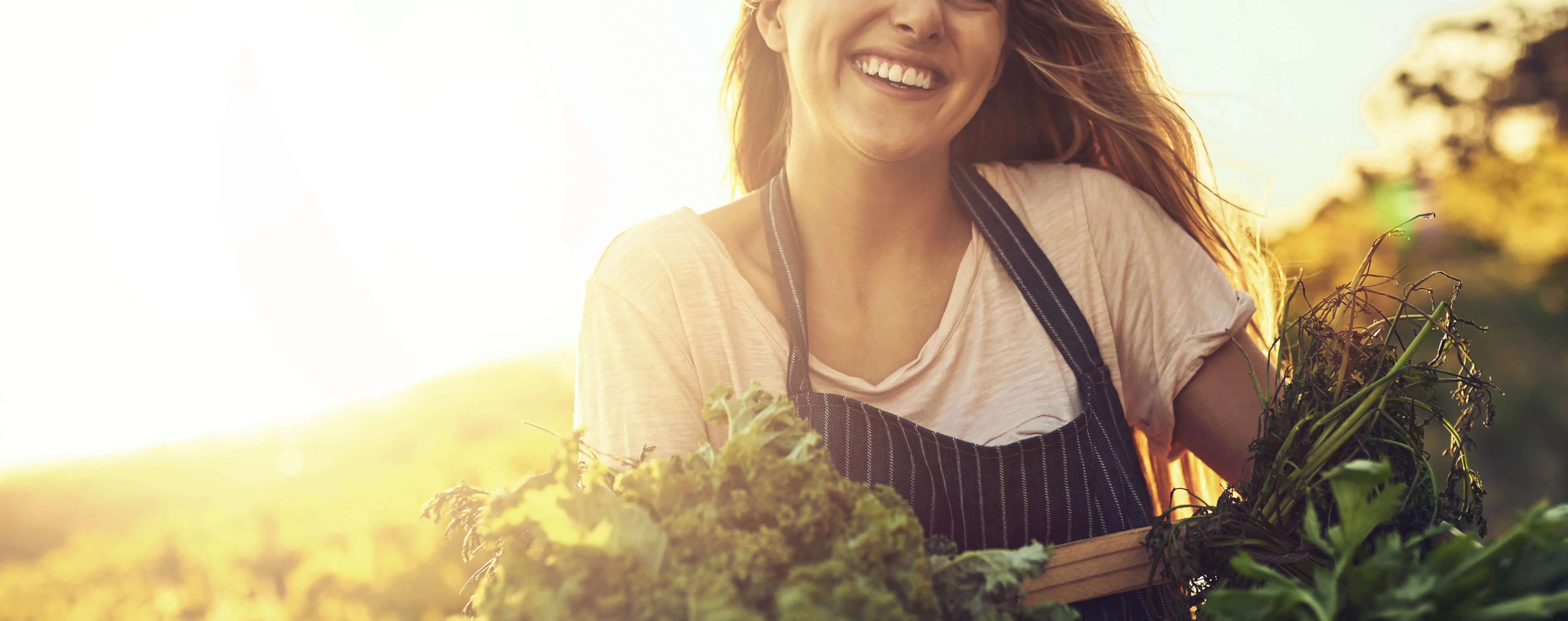 Retur, reklamasjon og tilbaketrekking Norganic